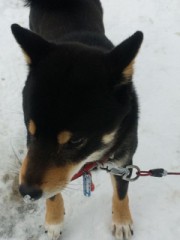 DVD書き込み作業