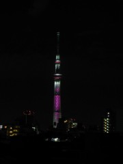 本日はピンクリボンフェスティバルバージョン