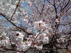 久しぶりのログです。