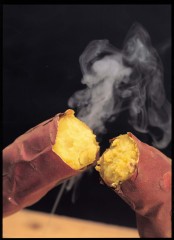 急に肌寒くなってきましたねー