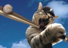 【お題日記】昔のメル友からメールが届いたらどうする？