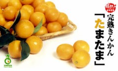 【お題日記】露出・ポロリしちゃった体験ある？