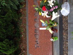 シンクロニシティ