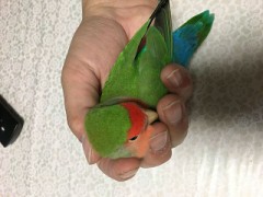 【お題日記】夜寝る前に必ずすること