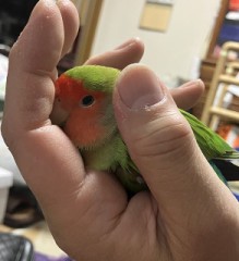 【お題日記】誰にも言ってないけど実はすごい自慢