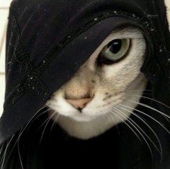 【お題日記】一人称なんて呼んでる？