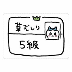 【お題日記】取ったけど全然使ってない資格