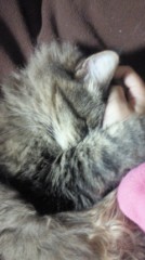 久しぶりのデジログ