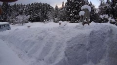 【お題日記】あなたの好きな格言