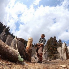 【お題日記】楽しかった職業