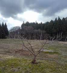 【お題日記】あなたのカラオケでの18番