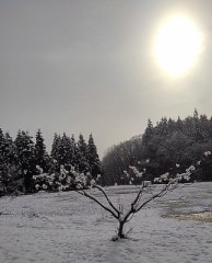 【お題日記】子供のころの変わった癖