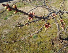 【お題日記】今日のファッションは？