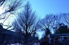 【お題日記】日頃心がけているメール作法