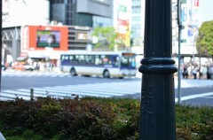 【お題日記】合コンの会費、女性の分はいくらまでOK？