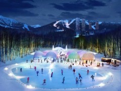 【お題日記】ウインタースポーツやる予定ある？