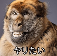 【お題日記】最近元気がなくなってきた…感じする？