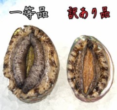 【お題日記】Hな画像や動画サイト、見てる？