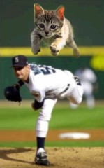 (*´Д｀)ﾊｧﾊｧ/lｧ/lｧ/ヽァ/ヽァ ﾉ　＼ア ﾉ　＼ア　／　＼ ア ／　＼ ア