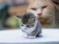 （#^ω^）ﾋﾟｷﾋﾟｷ