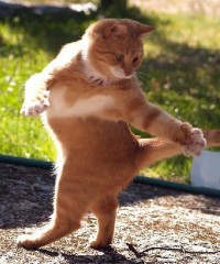 髪の毛からダイヤモンド