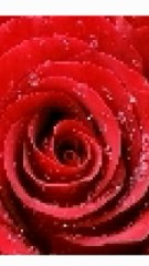 【お題日記】キスは好き？