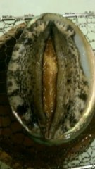 【お題日記】全裸と下着姿、どっちがエッチだと思う?