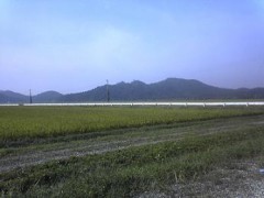 裏ログの書き方