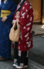 着物でお出かけ－続き