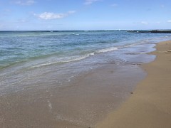 【お題日記】デジで、どんな異性に惹かれる？