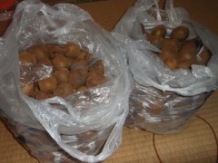 えっ・これ全部ジャムにする？？？？？？