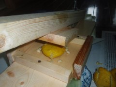 柚子搾りました～