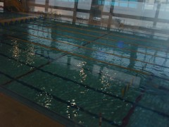 水泳の話・・・ガラガラでした