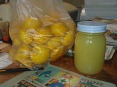 どっちが酸っぱい？　ユズとレモン