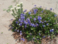 ＧＷ・・旅から帰りました。