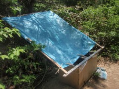 台風・・・肩すかしでした