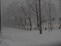 こっち降り続いてる～～