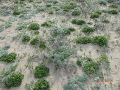 【お題日記】ひとり旅したことある？
