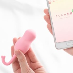 【お題日記】こんなアダルトグッズがあったら