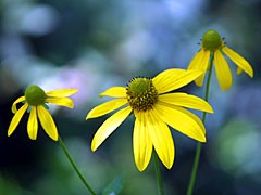 忘れられない出会い