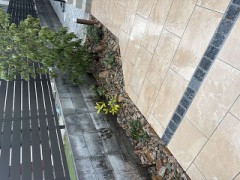 凄いお題だ（笑）