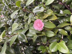 男のロマンだな（笑）