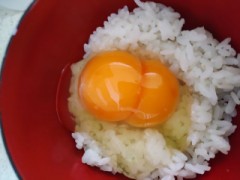 【お題日記】卵割ったら黄身が2つ以上あった経験