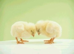 【お題日記】恋に落ちる瞬間ってどんな時？