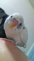 コメントくださる皆さんへ