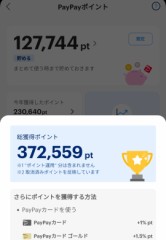 PayPay使いすぎた…笑