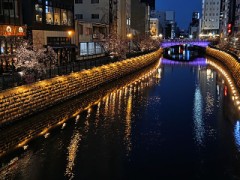 撮影のためにあっちうろうろ、こっちうろうろ