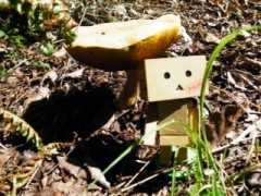 痩せる～っ(◎-◎;)