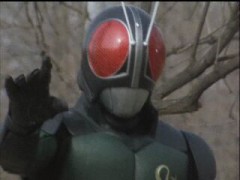 【お題日記】虫って触れる？