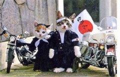 【お題日記】印象に残っているブーム